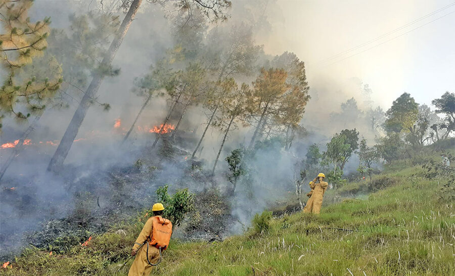 गुल्मीमा डढेलो निभाउने क्रममा जलेर एक जनाको मृत्यु