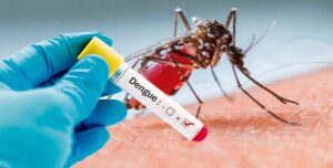 dengue rog