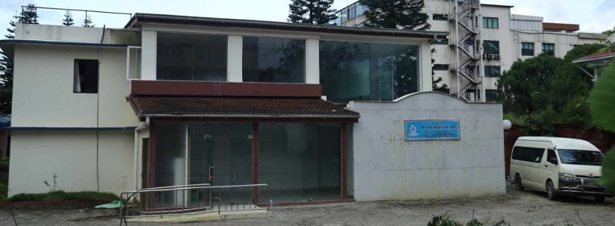 धमाधम पक्राउ पर्दै नक्कली सर्टिफिकेटधारीहरु
