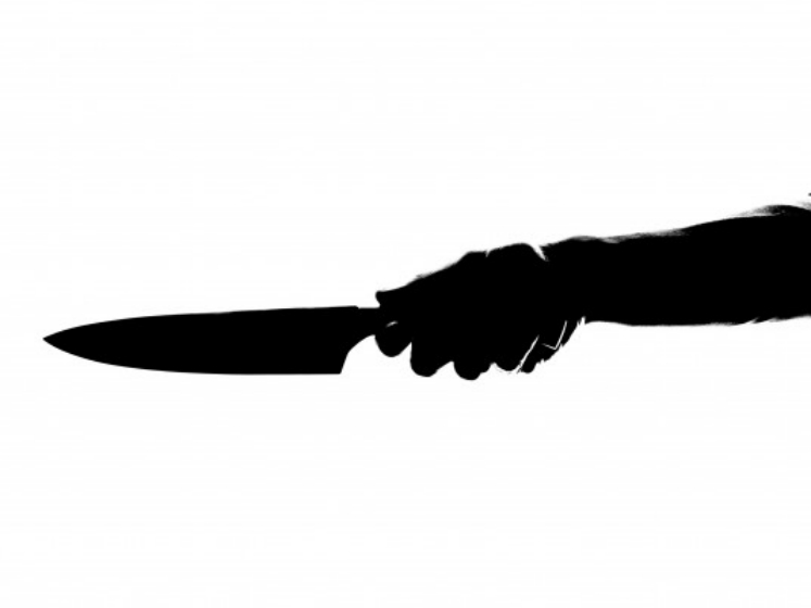 गौशालामा एक व्यक्तिमाथि चक्कु प्रहार, घटनास्थलबाट पेस्तोल बरामद