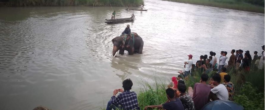 देवचुलीका २० वर्षीय युवक लोकाह खोला र नारायणीको दोभानमा डुबेर बेपत्ता