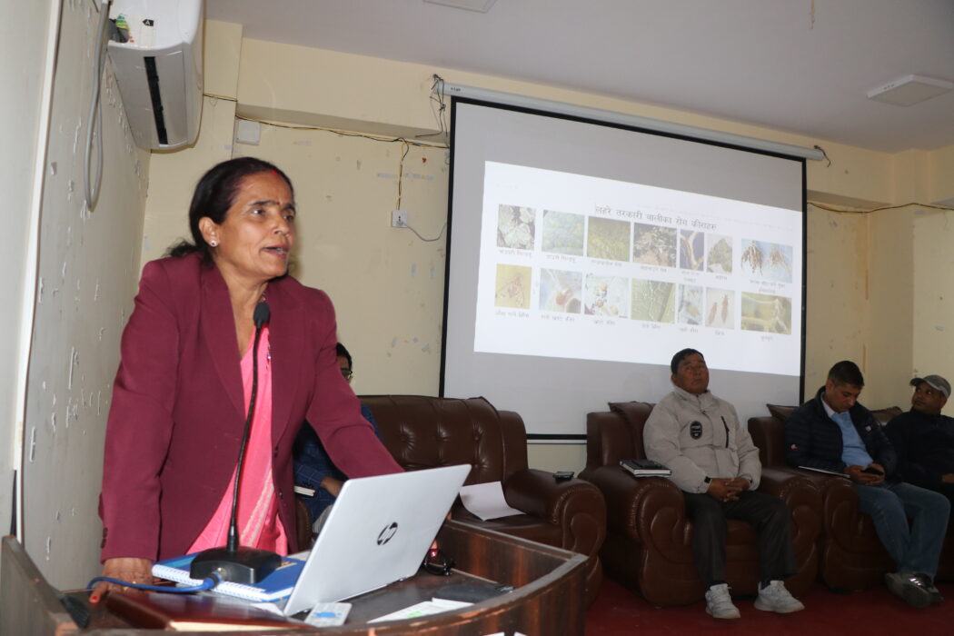 “कृषक असुरक्षित हुँदा भान्छा देखि उपभोक्ता सबै असुरक्षित हुन्छन्” : गाउँपालिका महासंघ अध्यक्ष पाण्डे