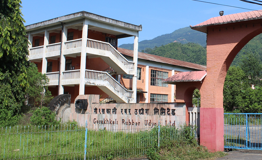 पुनः संचालन गर्न सकिने अवस्थामा गोरखकाली रबर उद्योग, सुझाइयो ३ विकल्प